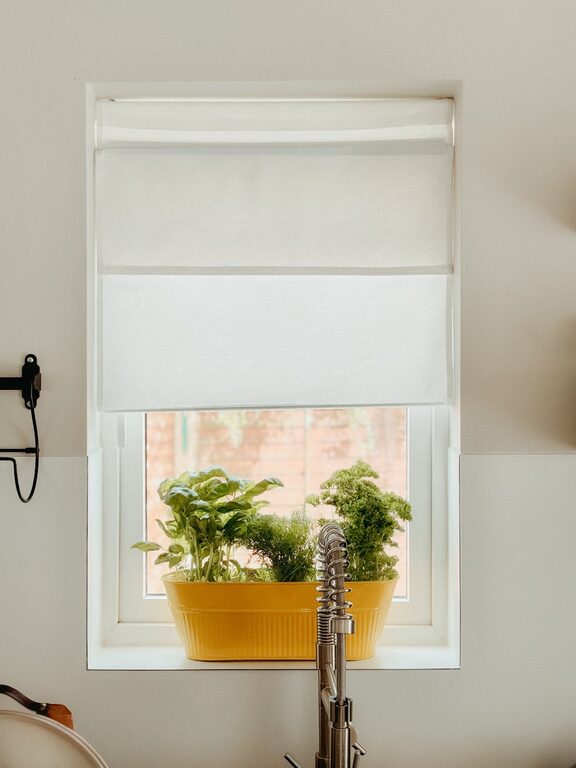 How to Start a Small Herb Garden Indoors: A Beginner’s Guide